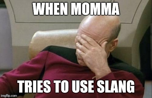 Captain Picard Facepalm | WHEN MOMMA; TRIES TO USE SLANG | image tagged in memes,captain picard facepalm | made w/ Imgflip meme maker