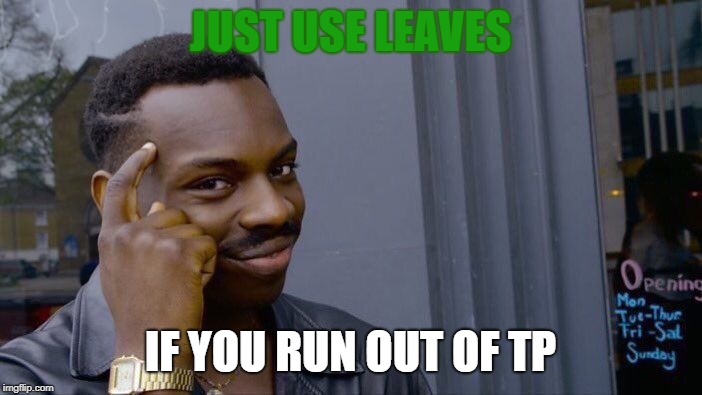 Roll Safe Think About It Meme | JUST USE LEAVES IF YOU RUN OUT OF TP | image tagged in memes,roll safe think about it | made w/ Imgflip meme maker