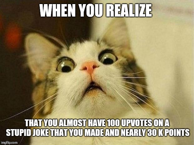 Scared Cat Meme | WHEN YOU REALIZE; THAT YOU ALMOST HAVE 100 UPVOTES ON A STUPID JOKE THAT YOU MADE AND NEARLY 30 K POINTS | image tagged in memes,scared cat | made w/ Imgflip meme maker