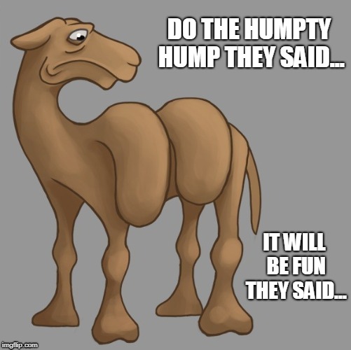 HUMPTY HUMP IS NOT FOR EVERYONE... | DO THE HUMPTY HUMP THEY SAID... IT WILL BE FUN THEY SAID... | image tagged in camel,camels,hump day camel | made w/ Imgflip meme maker