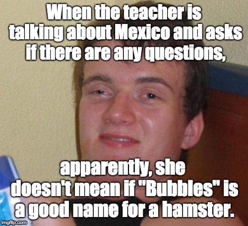 10 guy | When the teacher is talking about Mexico and asks if there are any questions, apparently, she doesn't mean if "Bubbles" is a good name for a hamster. | image tagged in memes,10 guy,retarded,funny,spanish class | made w/ Imgflip meme maker