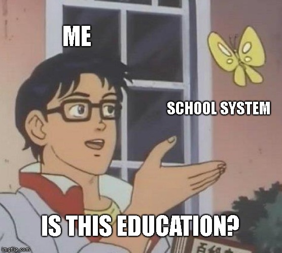 No | ME; SCHOOL SYSTEM; IS THIS EDUCATION? | image tagged in memes,is this a pigeon,school | made w/ Imgflip meme maker