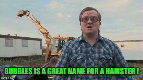 Trailer Park Boys Bubbles Meme | BUBBLES IS A GREAT NAME FOR A HAMSTER ! | image tagged in memes,trailer park boys bubbles | made w/ Imgflip meme maker