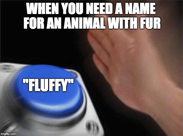 Blank Nut Button Meme | WHEN YOU NEED A NAME FOR AN ANIMAL WITH FUR "FLUFFY" | image tagged in memes,blank nut button | made w/ Imgflip meme maker