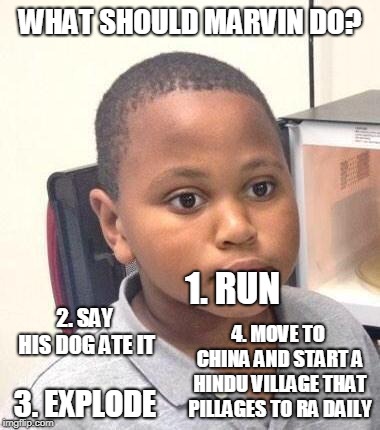 Minor Mistake Marvin Meme | WHAT SHOULD MARVIN DO? 1. RUN 2. SAY HIS DOG ATE IT 3. EXPLODE 4. MOVE TO CHINA AND START A HINDU VILLAGE THAT PILLAGES TO RA DAILY | image tagged in memes,minor mistake marvin | made w/ Imgflip meme maker