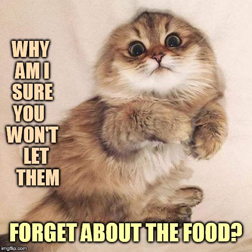 WHY AM I SURE YOU   WON'T   LET    THEM FORGET ABOUT THE FOOD? | made w/ Imgflip meme maker