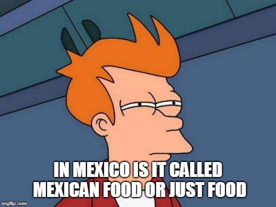 Futurama Fry Meme | IN MEXICO IS IT CALLED MEXICAN FOOD OR JUST FOOD | image tagged in memes,futurama fry | made w/ Imgflip meme maker