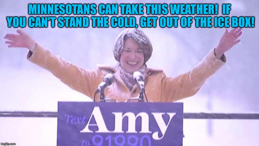 Amy! | MINNESOTANS CAN TAKE THIS WEATHER!  IF YOU CAN'T STAND THE COLD, GET OUT OF THE ICE BOX! | image tagged in amy klobuchar | made w/ Imgflip meme maker