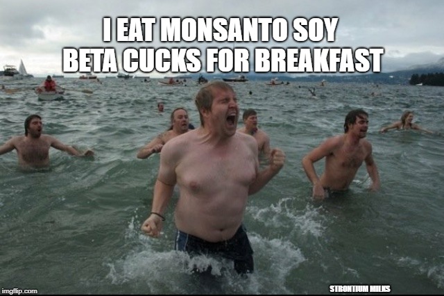 Soy Boys | I EAT MONSANTO SOY BETA CUCKS FOR BREAKFAST; STRONTIUM MILKS | image tagged in soy boys | made w/ Imgflip meme maker