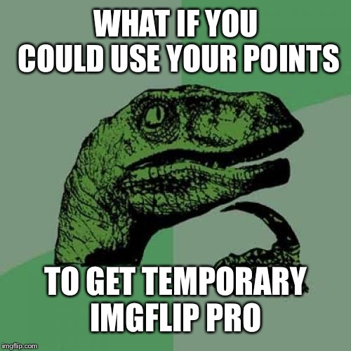 Philosoraptor Meme | WHAT IF YOU COULD USE YOUR POINTS TO GET TEMPORARY IMGFLIP PRO | image tagged in memes,philosoraptor | made w/ Imgflip meme maker
