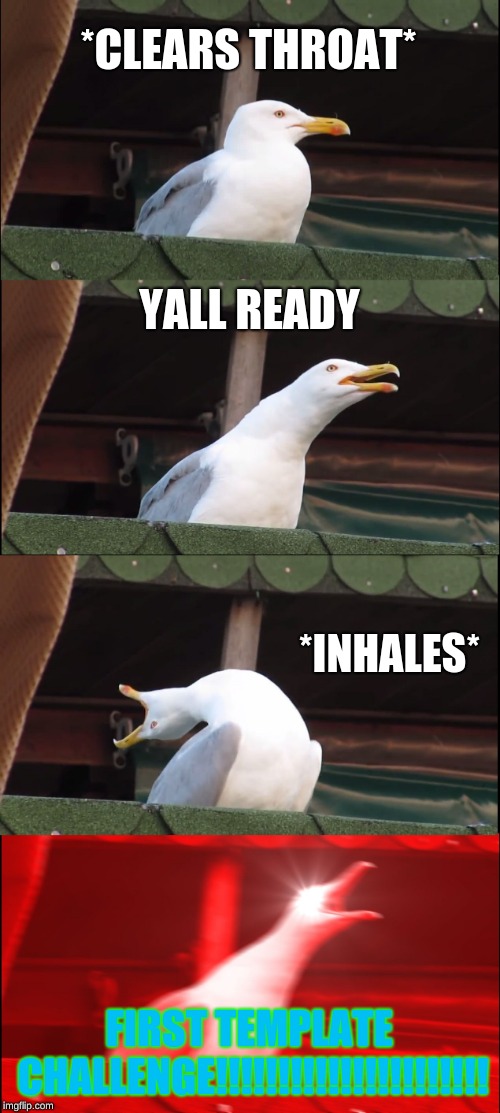 Inhaling Seagull | *CLEARS THROAT*; YALL READY; *INHALES*; FIRST TEMPLATE CHALLENGE!!!!!!!!!!!!!!!!!!!!!! | image tagged in memes,inhaling seagull | made w/ Imgflip meme maker