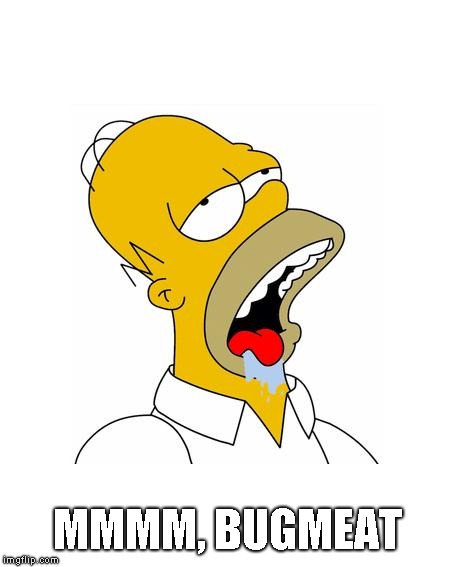 Homer Simpson Drooling | MMMM, BUGMEAT | image tagged in homer simpson drooling | made w/ Imgflip meme maker
