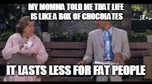 forrest gump box of chocolates |  MY MOMMA TOLD ME THAT LIFE IS LIKE A BOX OF CHOCOLATES; IT LASTS LESS FOR FAT PEOPLE | image tagged in forrest gump box of chocolates | made w/ Imgflip meme maker