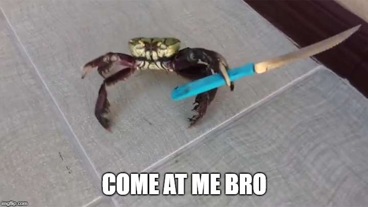 Crab knife  | COME AT ME BRO | image tagged in crab knife | made w/ Imgflip meme maker