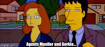 Agents Mueller and Gorkie... | image tagged in gifs | made w/ Imgflip video-to-gif maker