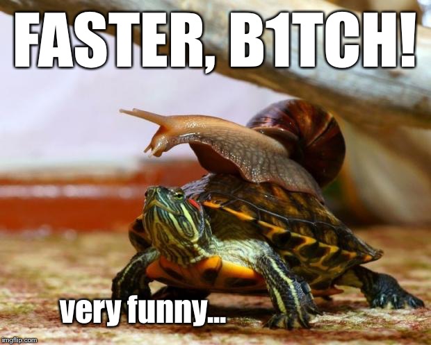 imagine if you will a fantasy world where snails have a mounted division | FASTER, B1TCH! very funny... | image tagged in snail on a turtle,faster | made w/ Imgflip meme maker