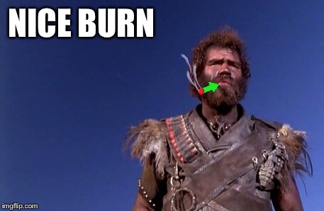 NICE BURN | made w/ Imgflip meme maker