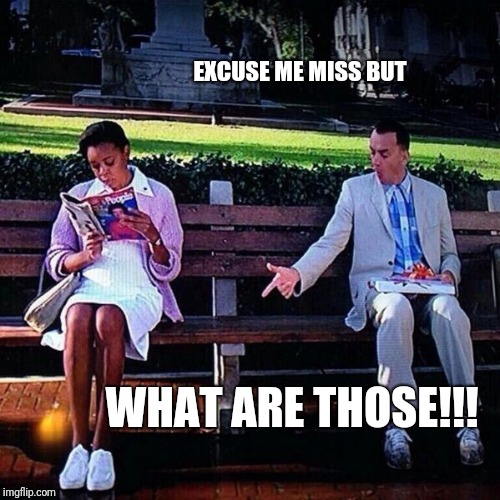 Introvert Forrest gump week 2/10 - 2/16, a cravenmoordik event
 | EXCUSE ME MISS BUT; WHAT ARE THOSE!!! | image tagged in forrest gump pointing at shoes,what are those,forrest gump,forrest gump week,funny,cravenmoordik | made w/ Imgflip meme maker