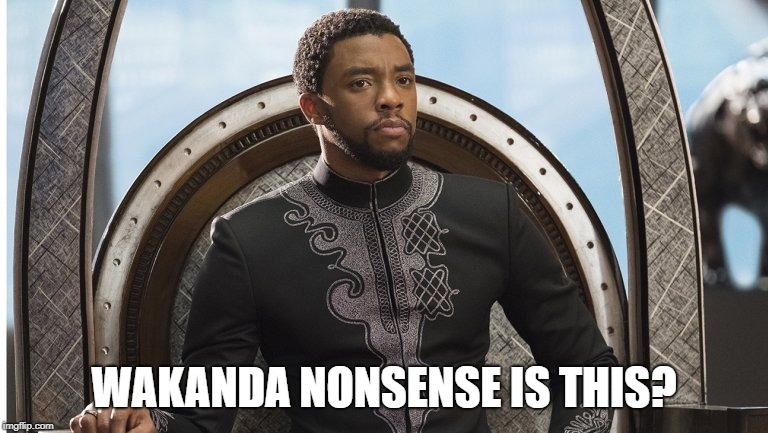 Wakanda nonsense is this | WAKANDA NONSENSE IS THIS? | image tagged in black panther,wakanda,avengers | made w/ Imgflip meme maker
