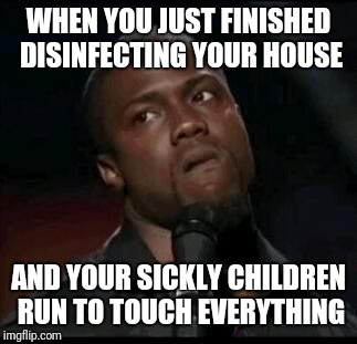 Kevin Hart  | WHEN YOU JUST FINISHED DISINFECTING YOUR HOUSE; AND YOUR SICKLY CHILDREN RUN TO TOUCH EVERYTHING | image tagged in kevin hart | made w/ Imgflip meme maker