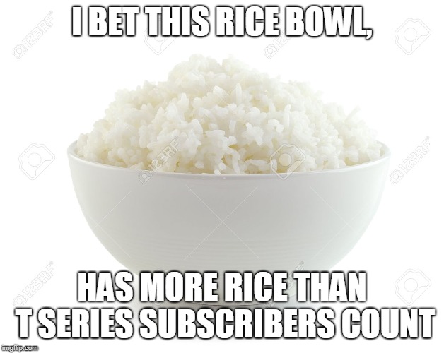 I BET THIS RICE BOWL, HAS MORE RICE THAN T SERIES SUBSCRIBERS COUNT | image tagged in rice,t series,pewdiepie,mr beast | made w/ Imgflip meme maker