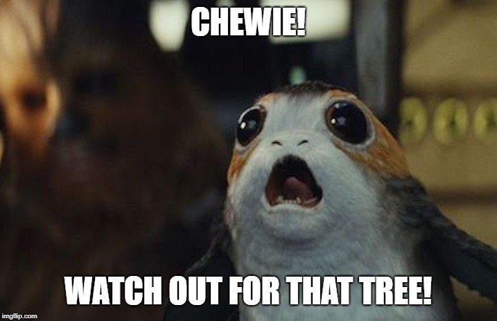 Star Wars Porg | CHEWIE! WATCH OUT FOR THAT TREE! | image tagged in star wars porg | made w/ Imgflip meme maker