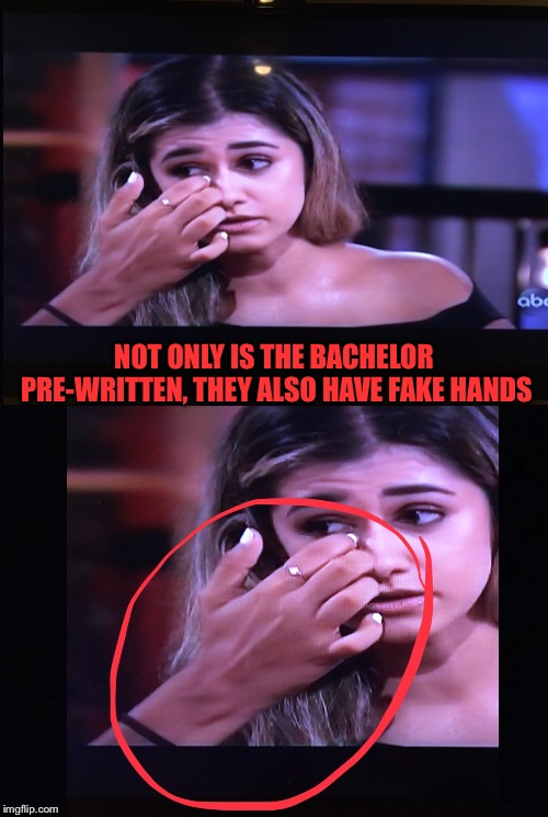 The Bachelor is messed up | NOT ONLY IS THE BACHELOR PRE-WRITTEN, THEY ALSO HAVE FAKE HANDS | image tagged in memes,funny,bachelor | made w/ Imgflip meme maker