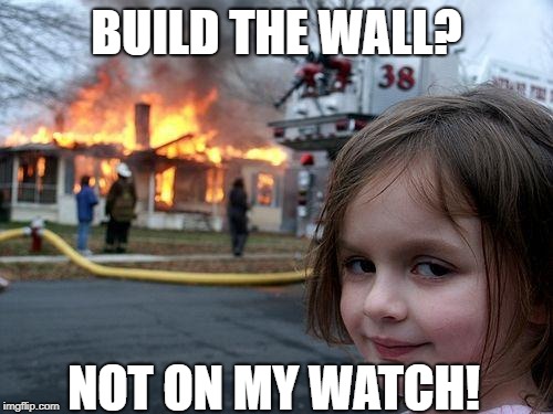 The Wall | BUILD THE WALL? NOT ON MY WATCH! | image tagged in memes,disaster girl | made w/ Imgflip meme maker