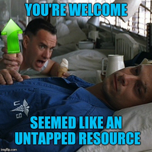 YOU'RE WELCOME SEEMED LIKE AN UNTAPPED RESOURCE | made w/ Imgflip meme maker