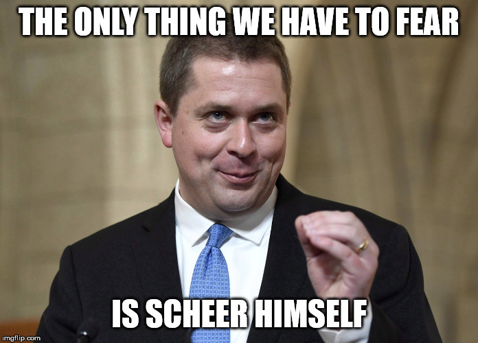 THE ONLY THING WE HAVE TO FEAR; IS SCHEER HIMSELF | image tagged in scheer deception | made w/ Imgflip meme maker