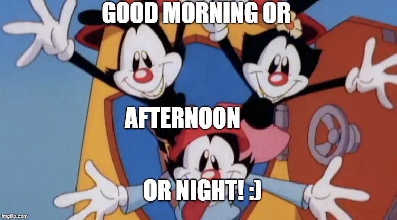 saying good in the corect way | GOOD MORNING OR; AFTERNOON; OR NIGHT! :) | image tagged in animaniacs | made w/ Imgflip meme maker