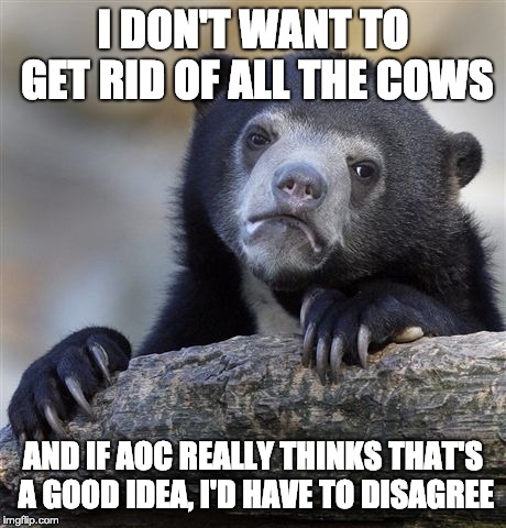 this meme is cring tbh, but i had to get my beliefs out there in the format that IMGflip presents | I DON'T WANT TO GET RID OF ALL THE COWS; AND IF AOC REALLY THINKS THAT'S A GOOD IDEA, I'D HAVE TO DISAGREE | image tagged in memes,confession bear,politics,alexandria ocasio-cortez | made w/ Imgflip meme maker