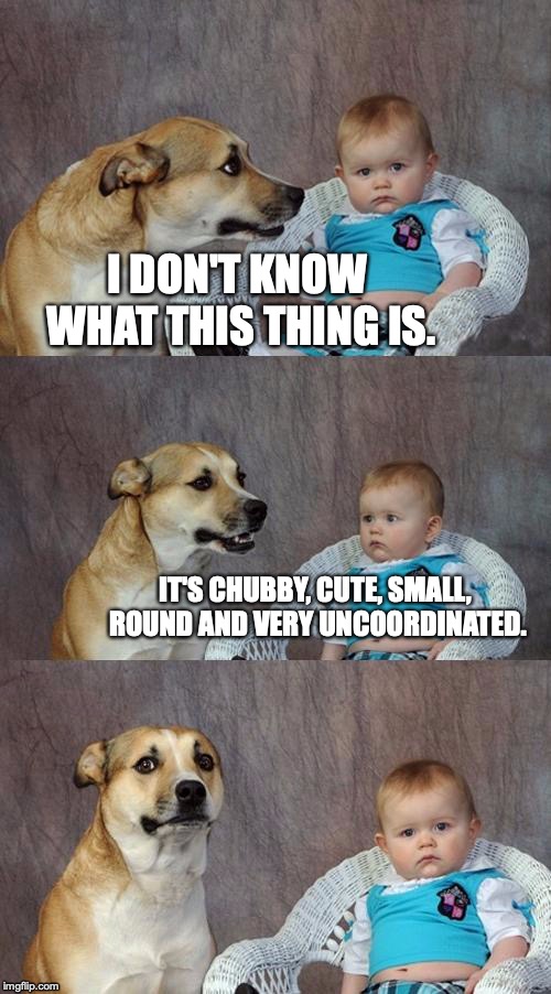 Dad Joke Dog Meme | I DON'T KNOW WHAT THIS THING IS. IT'S CHUBBY, CUTE, SMALL, ROUND AND VERY UNCOORDINATED. | image tagged in memes,dad joke dog | made w/ Imgflip meme maker