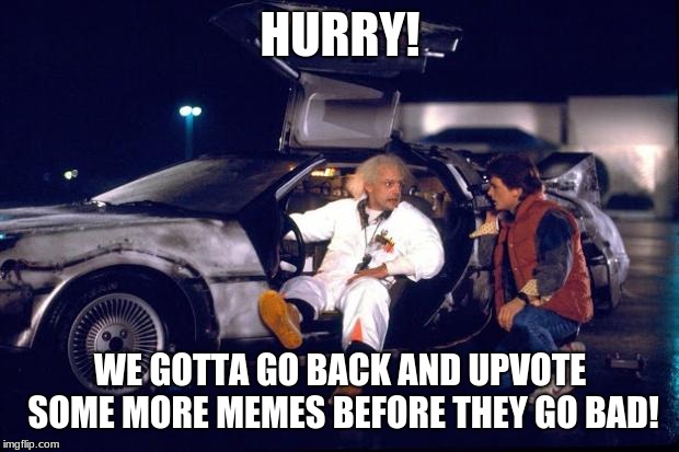 Back to the future | HURRY! WE GOTTA GO BACK AND UPVOTE SOME MORE MEMES BEFORE THEY GO BAD! | image tagged in back to the future | made w/ Imgflip meme maker
