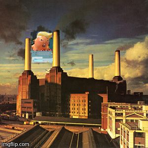 Pink Floyd - Animals (Floyd reacts to punk) | image tagged in music,pink floyd,discussion | made w/ Imgflip meme maker