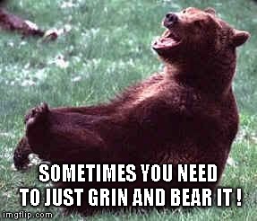 Laughing bear | SOMETIMES YOU NEED TO JUST GRIN AND BEAR IT ! | image tagged in laughing bear | made w/ Imgflip meme maker