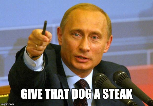 Give that man a Cookie | GIVE THAT DOG A STEAK | image tagged in give that man a cookie | made w/ Imgflip meme maker