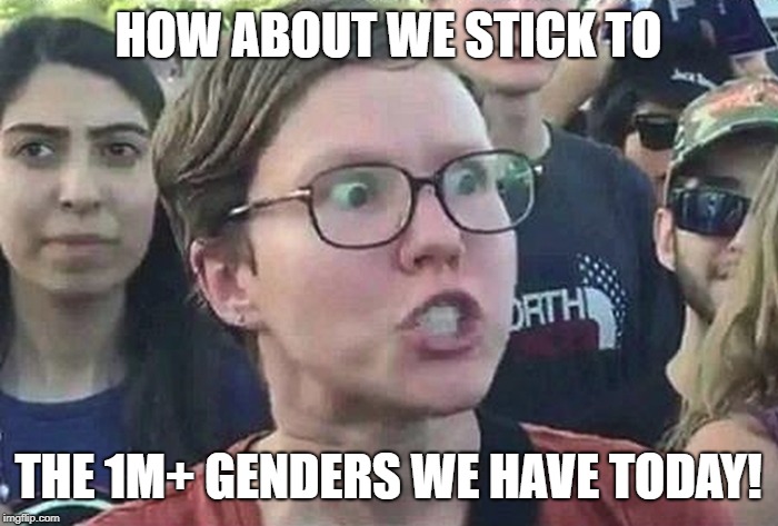 Triggered Liberal | HOW ABOUT WE STICK TO THE 1M+ GENDERS WE HAVE TODAY! | image tagged in triggered liberal | made w/ Imgflip meme maker