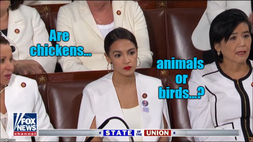 And now... Deep Thoughts, by Ocasio-Cortez | animals or birds...? Are chickens... | image tagged in aoc bored,deep thoughts | made w/ Imgflip meme maker
