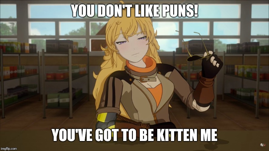 Yang's Puns | YOU DON'T LIKE PUNS! YOU'VE GOT TO BE KITTEN ME | image tagged in fun,funny,bad pun,puns,rwby | made w/ Imgflip meme maker