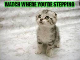 Sad Cat | WATCH WHERE YOU'RE STEPPING | image tagged in memes,sad cat | made w/ Imgflip meme maker