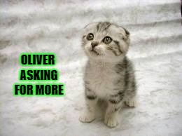 Sad Cat | OLIVER ASKING FOR MORE | image tagged in memes,sad cat | made w/ Imgflip meme maker