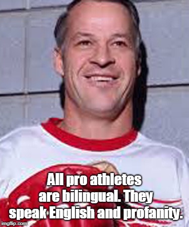 Gordie Howe | All pro athletes are  bilingual. They speak English and profanity. | image tagged in sport | made w/ Imgflip meme maker