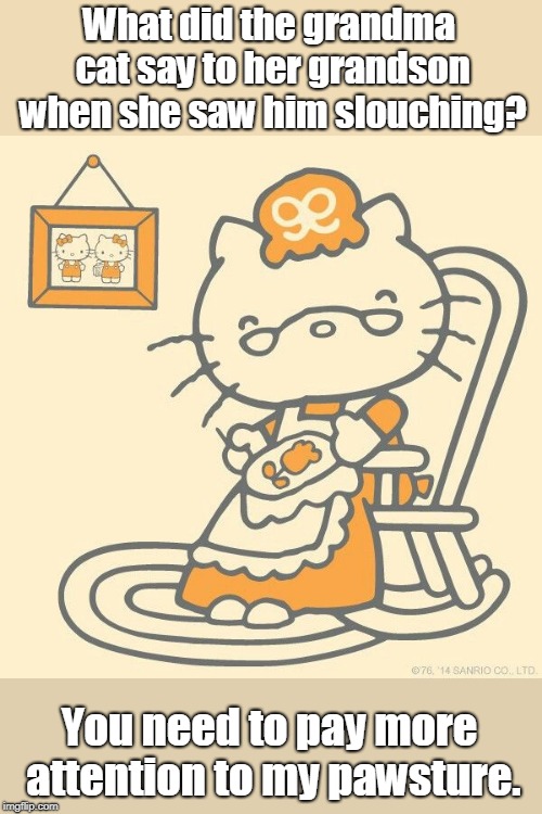 Grandma Cat | What did the grandma cat say to her grandson when she saw him slouching? You need to pay more attention to my pawsture. | image tagged in cat | made w/ Imgflip meme maker