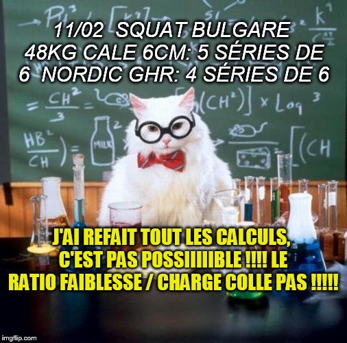 Chemistry Cat Meme | 11/02
 SQUAT BULGARE 48KG CALE 6CM: 5 SÉRIES DE 6
 NORDIC GHR: 4 SÉRIES DE 6; J'AI REFAIT TOUT LES CALCULS, C'EST PAS POSSIIIIIBLE !!!! LE RATIO FAIBLESSE / CHARGE COLLE PAS !!!!! | image tagged in memes,chemistry cat | made w/ Imgflip meme maker