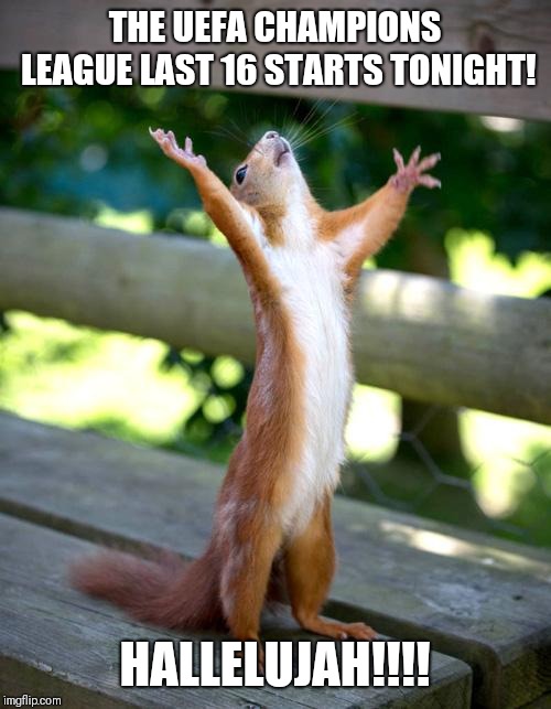 When the Champions League is back! | THE UEFA CHAMPIONS LEAGUE LAST 16 STARTS TONIGHT! HALLELUJAH!!!! | image tagged in praise squirrel,memes,uefa champions league,champions league,football | made w/ Imgflip meme maker