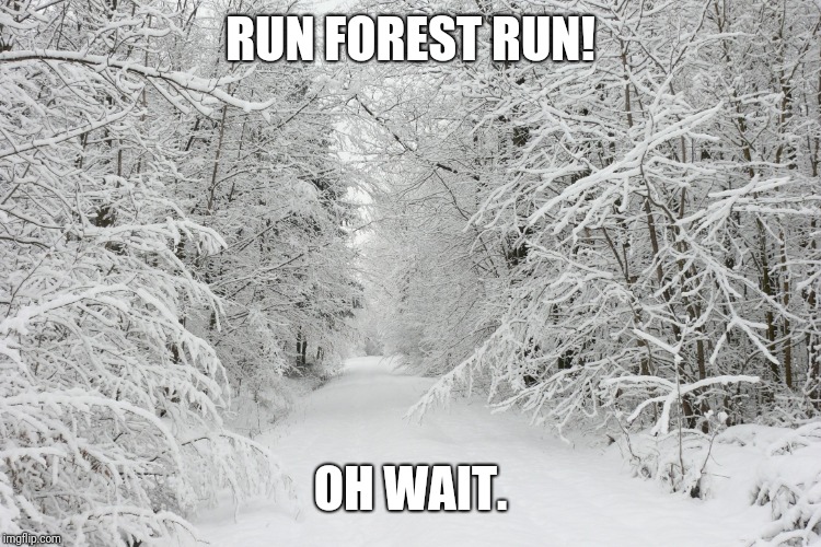 Here's a meme entry for Forrest Gump week | RUN FOREST RUN! OH WAIT. | image tagged in snowy forest,forrest gump week,forest,memes | made w/ Imgflip meme maker