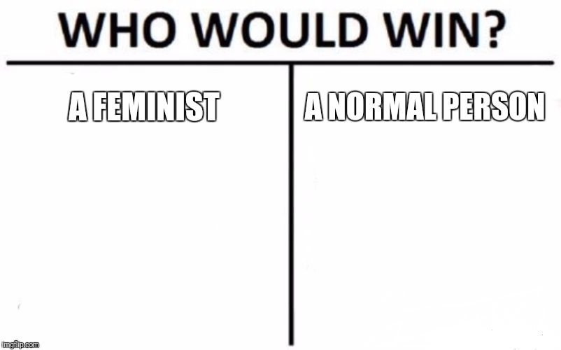 Who Would Win? | A FEMINIST; A NORMAL PERSON | image tagged in memes,who would win | made w/ Imgflip meme maker