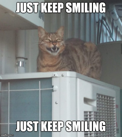 JUST KEEP SMILING; JUST KEEP SMILING | made w/ Imgflip meme maker
