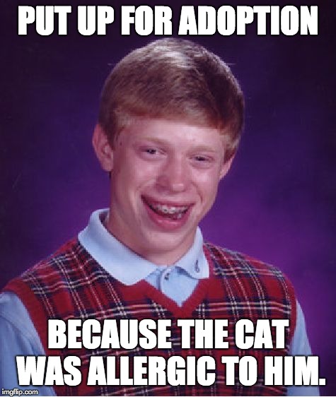 Bad Luck Brian Meme | PUT UP FOR ADOPTION; BECAUSE THE CAT WAS ALLERGIC TO HIM. | image tagged in memes,bad luck brian | made w/ Imgflip meme maker